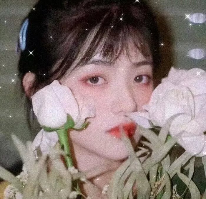 春天的紫丁香